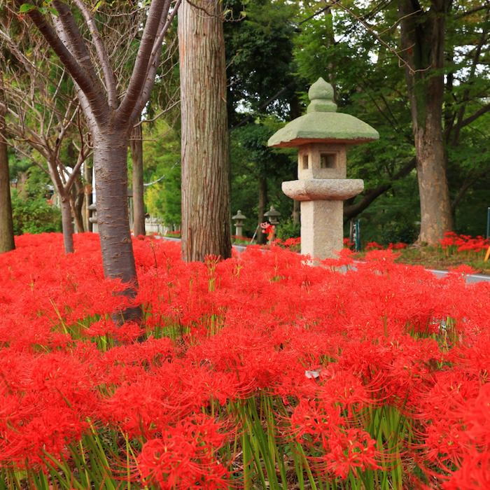 阿自岐神社