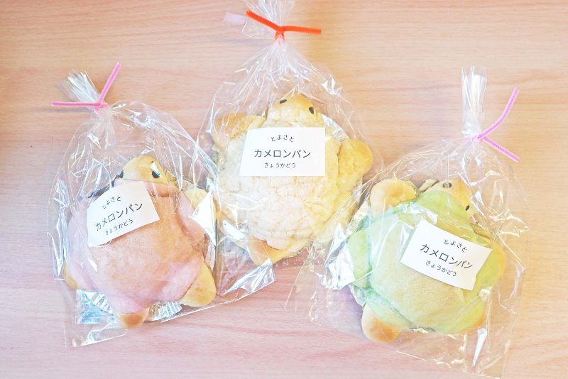 Turtle-shaped melon bread