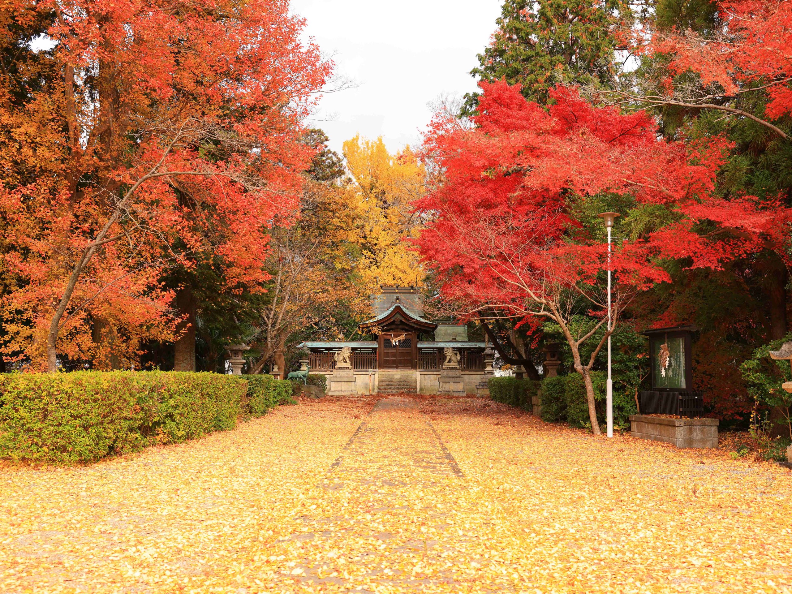 春日神社