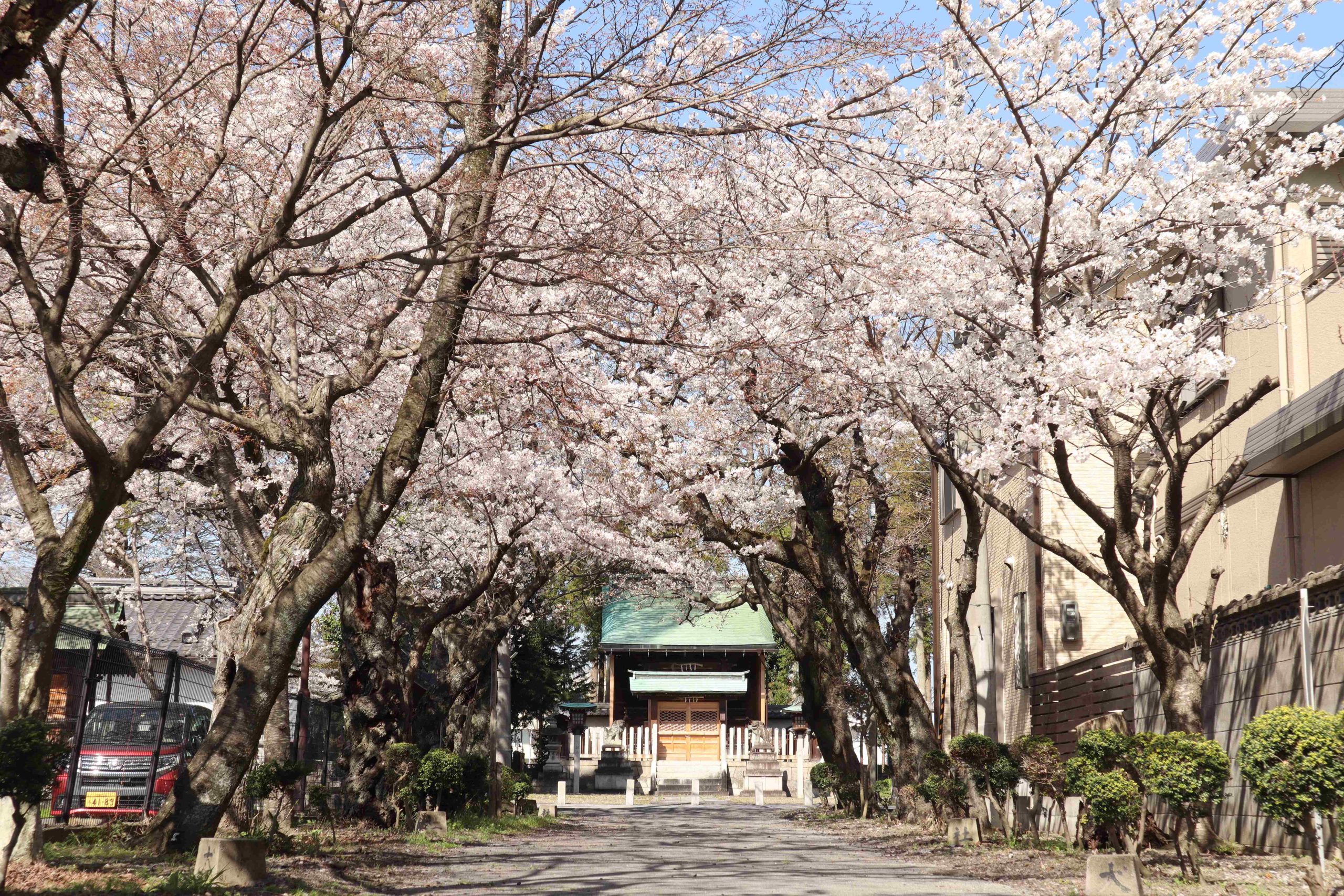 犬上神社