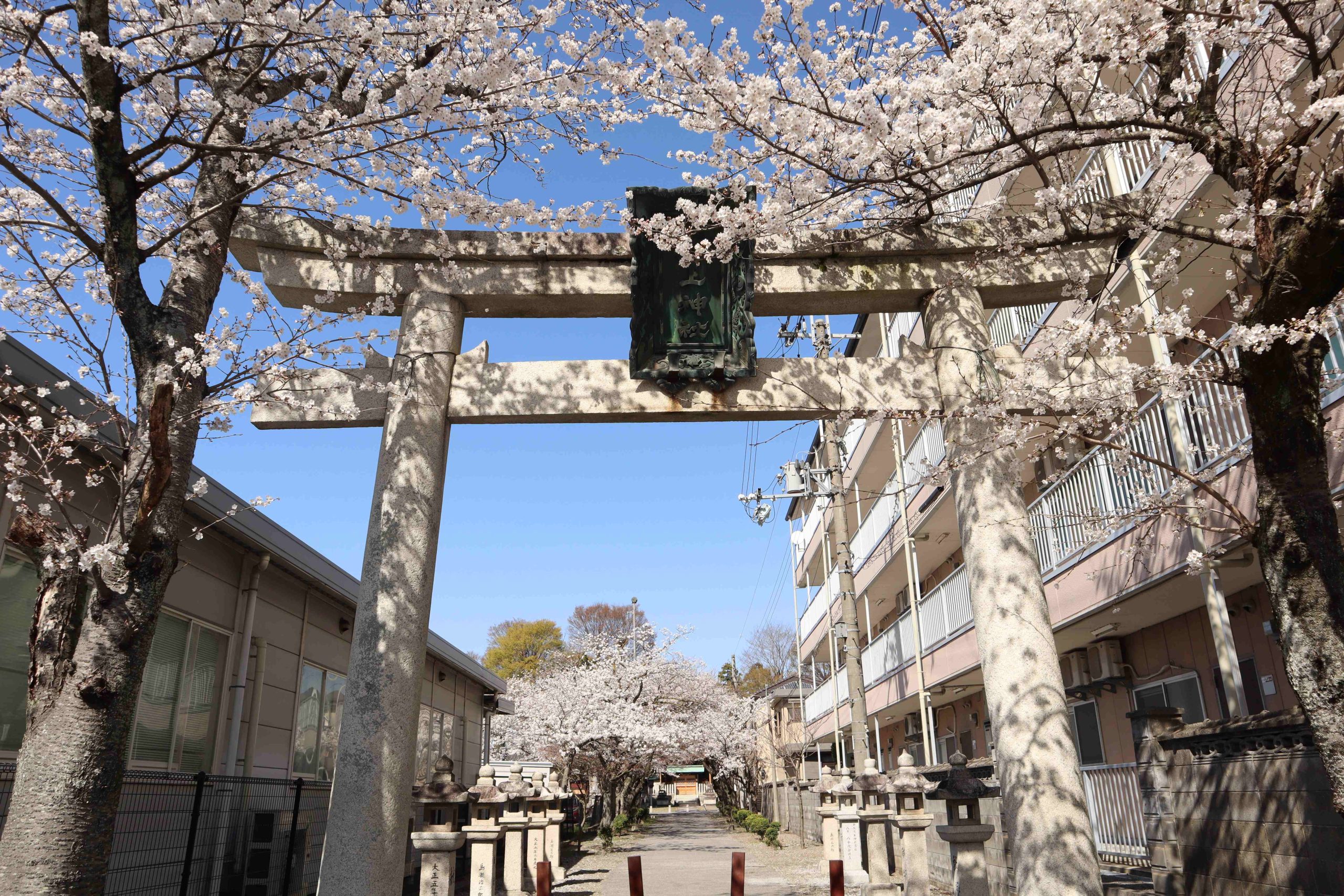 犬上神社